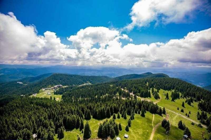 студио 307, к-с стрийм ризорт, Apartment *